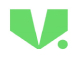 V.SHIPS INDIA PVT. LTD.